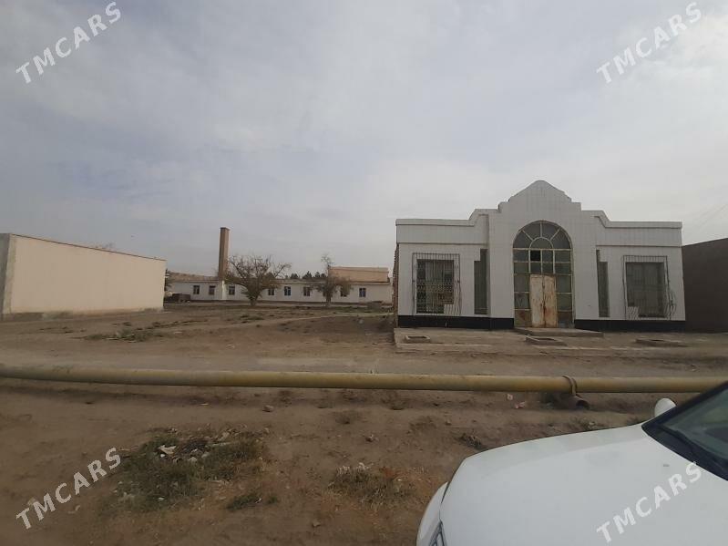 dükan - Garagum etraby - img 2