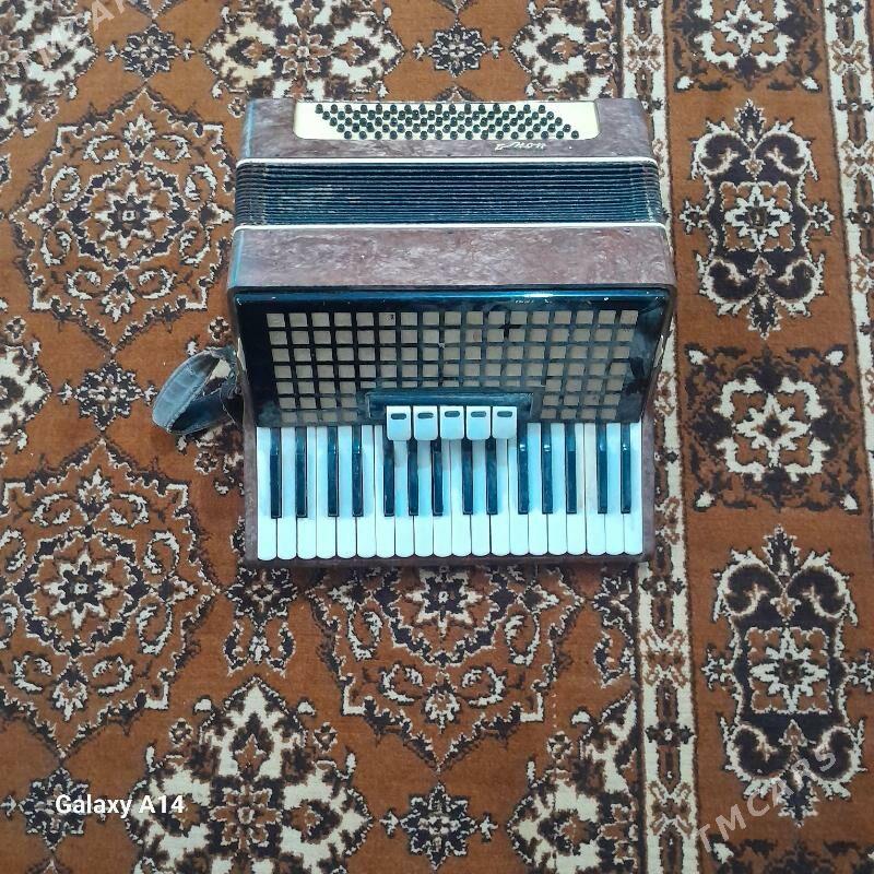 akardiyon - Махтумкули - img 3