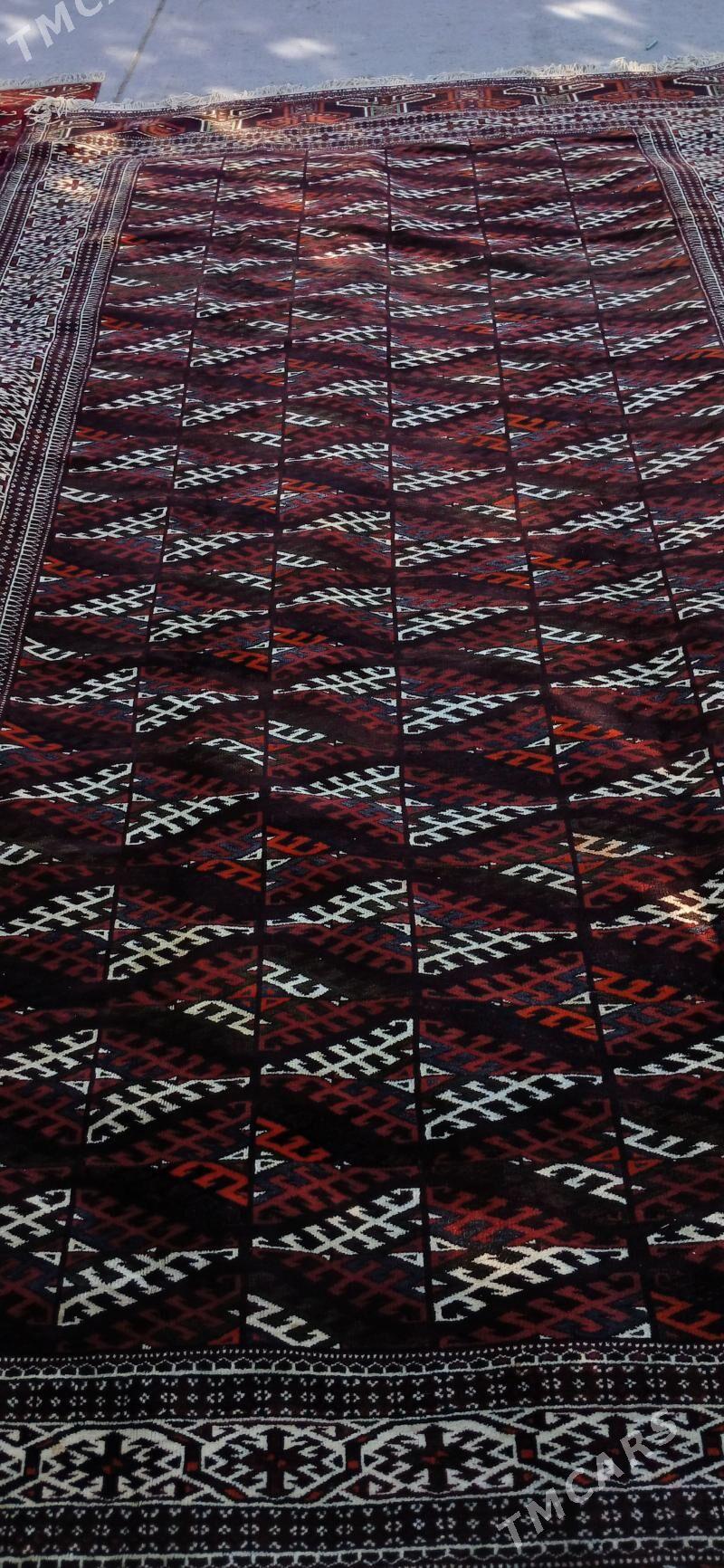 haly - Balkanabat - img 2