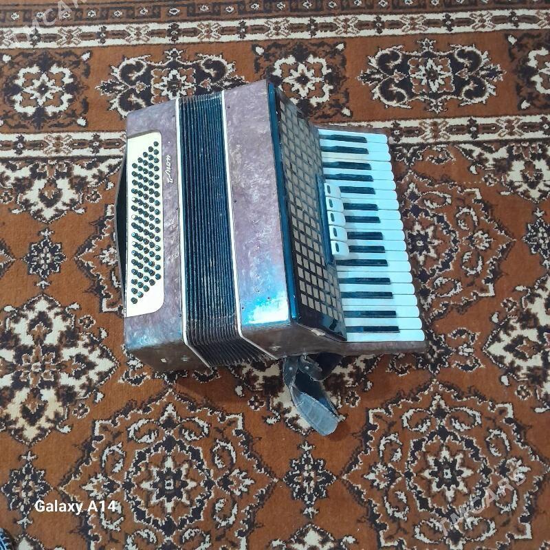 akardiyon - Махтумкули - img 4