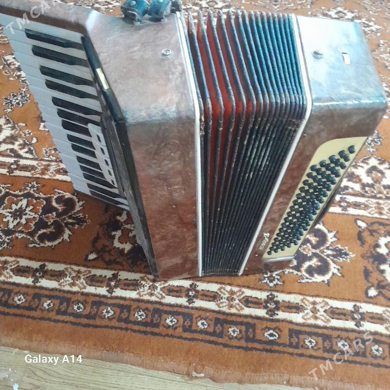 akardiyon - Махтумкули - img 2