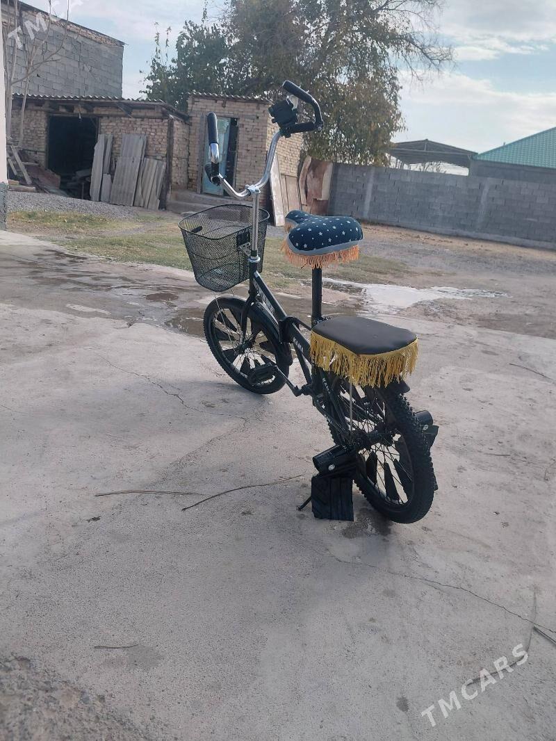 kama tigir - Гарадамак Шор - img 1