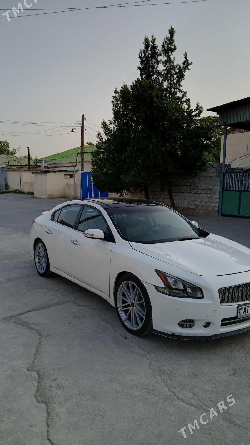 Nissan Maxima 2010 - 187 000 TMT - Aşgabat - img 8