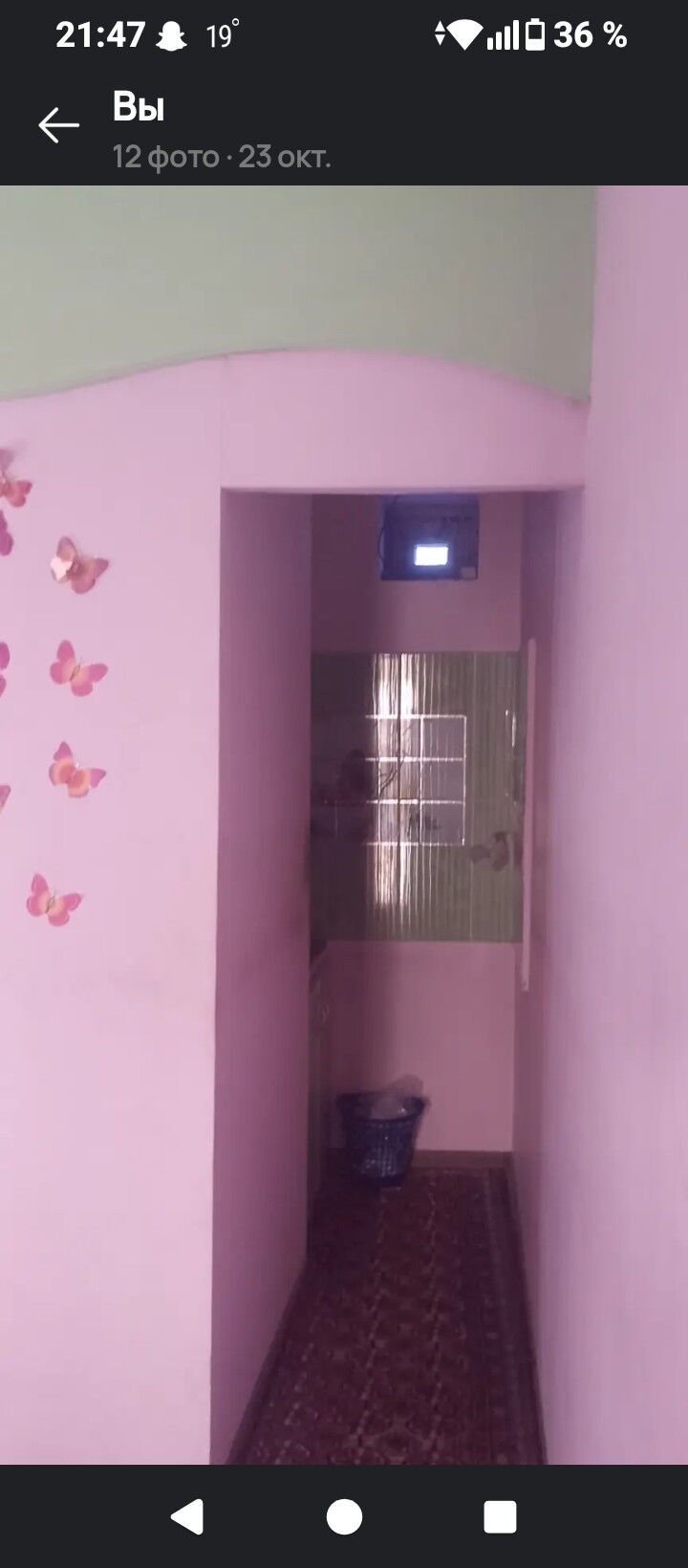 Satlyk jay howly - Mary - img 4