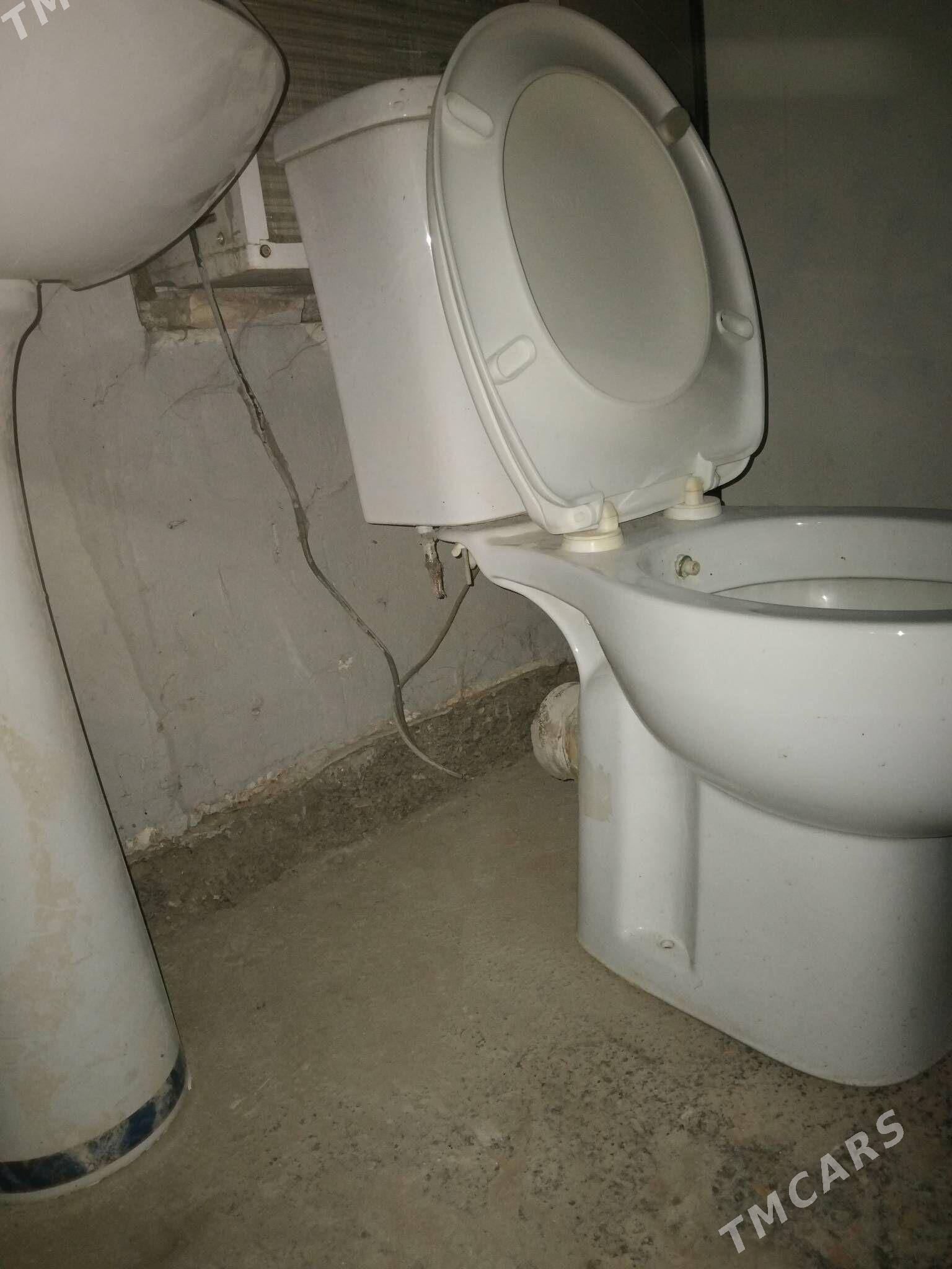 unitaz we umanlyk - Gurtly - img 5