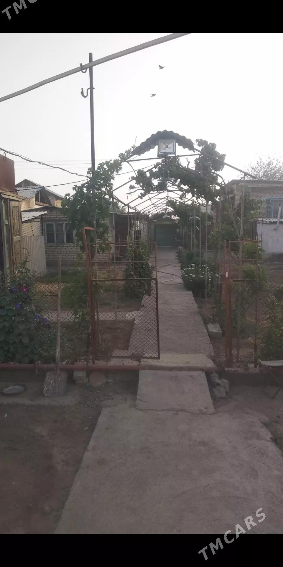 дача - Mary - img 1