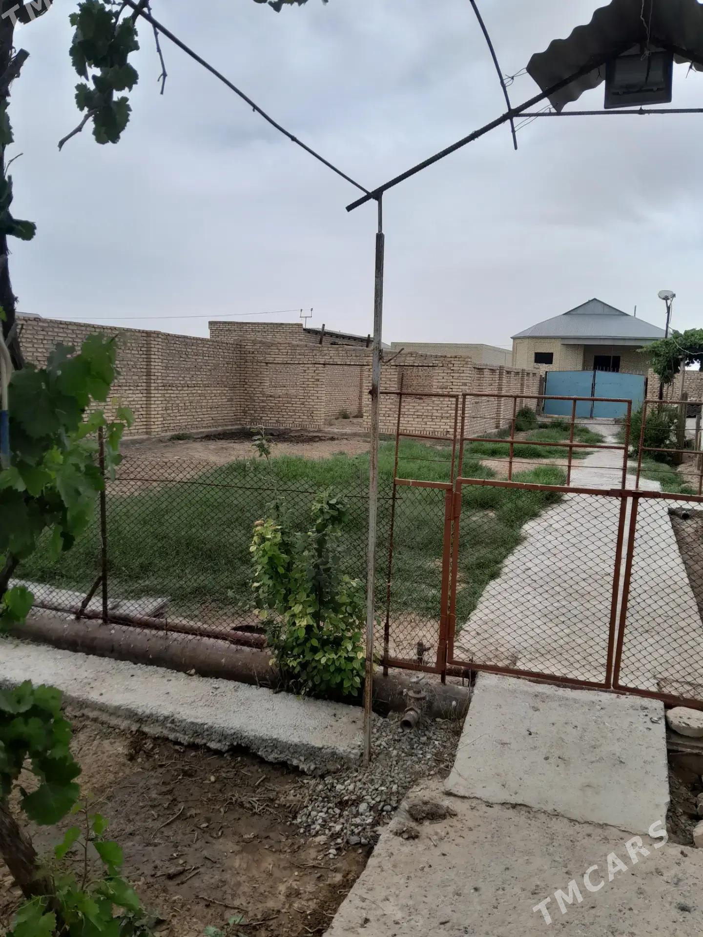 дача - Mary - img 5