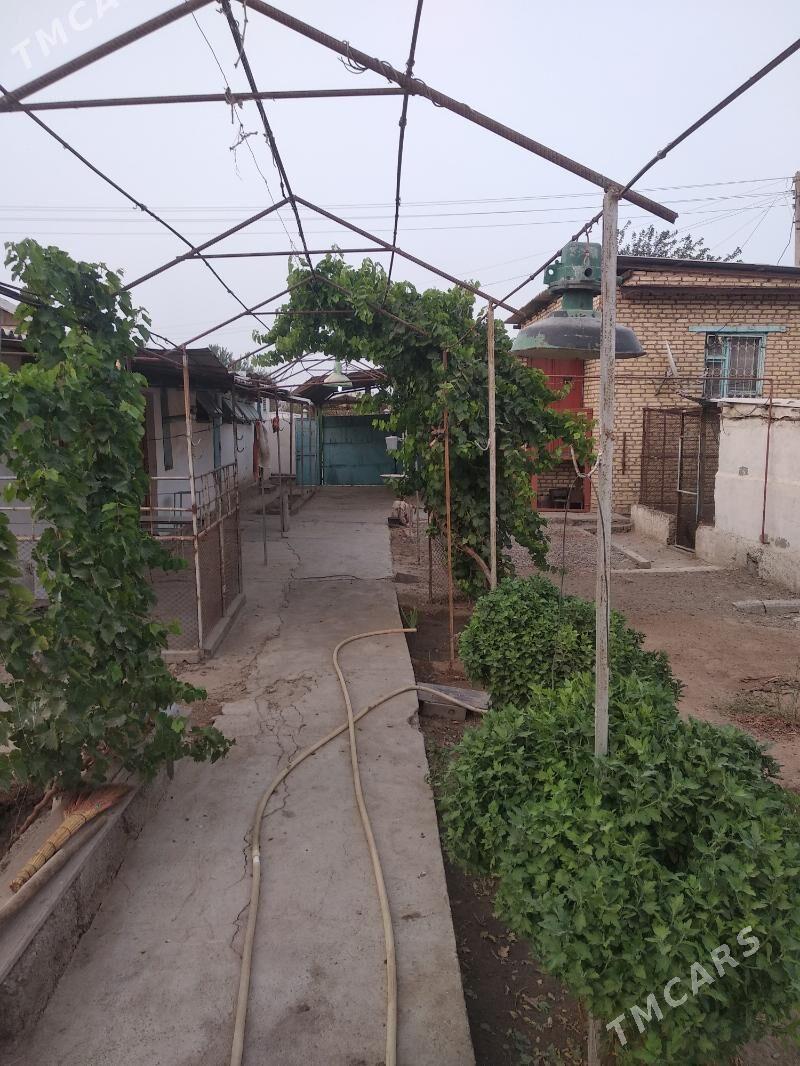 дача - Mary - img 2