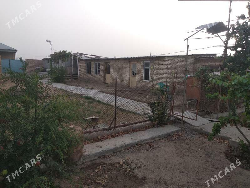 дача - Mary - img 6