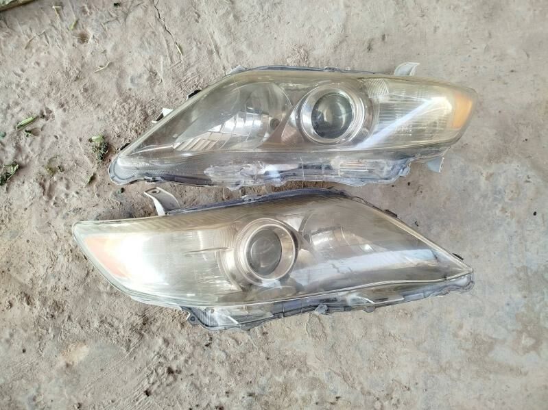 Okuz kelle Americanka far 1 000 TMT - Фарап - img 1