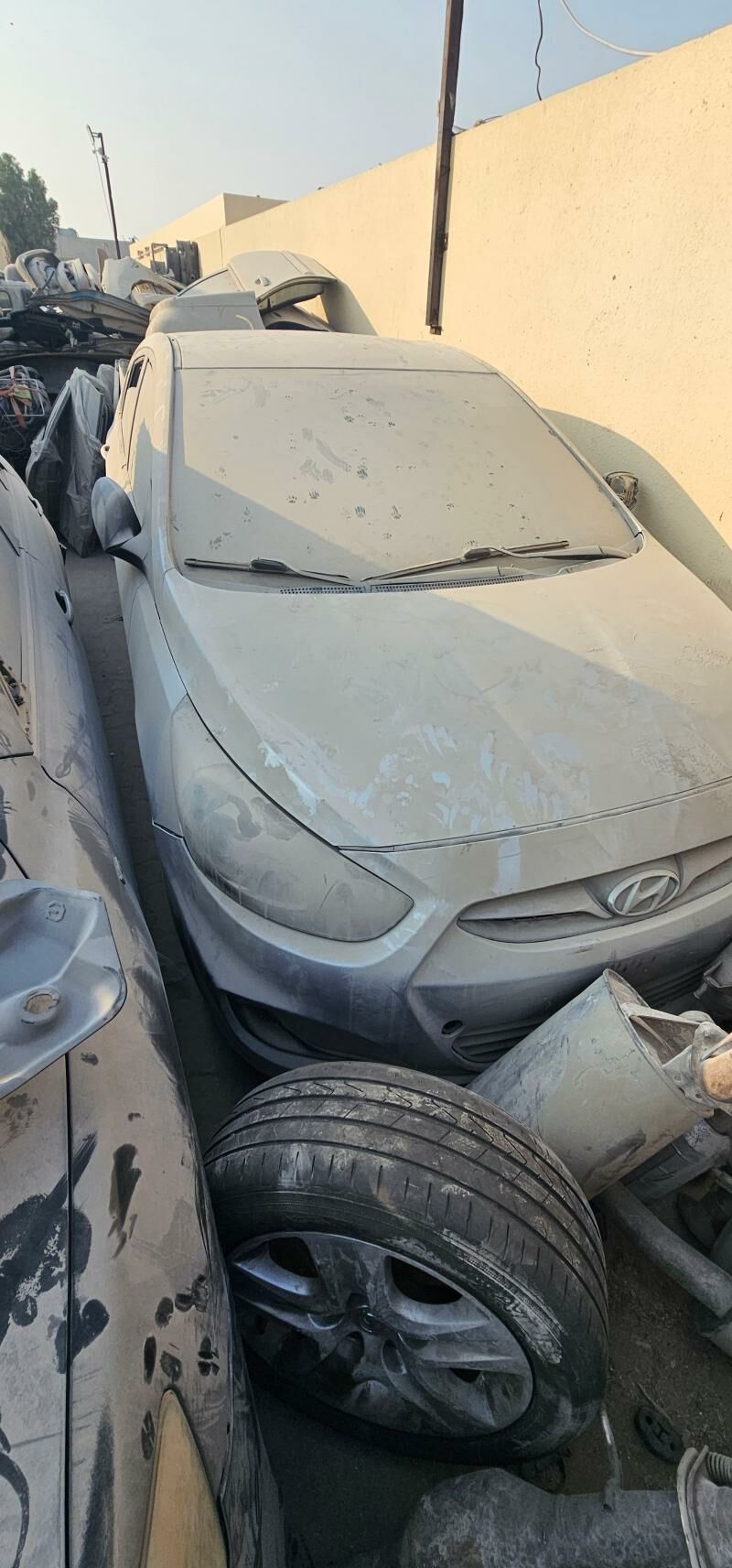 Hunday 50 TMT - Bedew - img 4