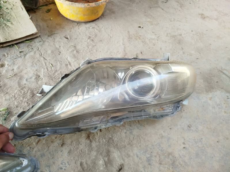 Okuz kelle Americanka far 1 000 TMT - Farap - img 2