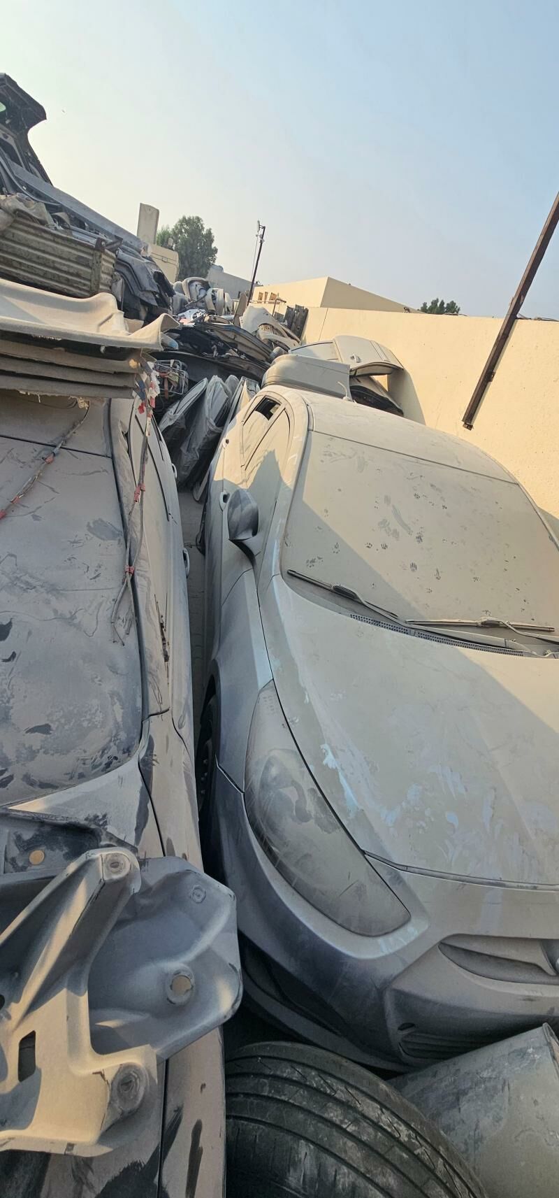 Hunday 50 TMT - Bedew - img 3