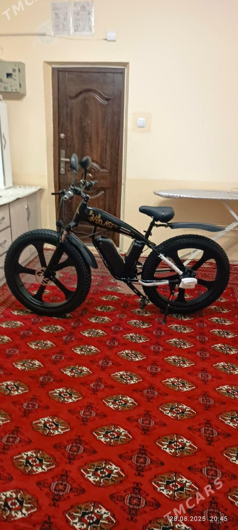 TIGIR  TOKLI  ТИГИР  ТОКЛИ - Мир 7 - img 3