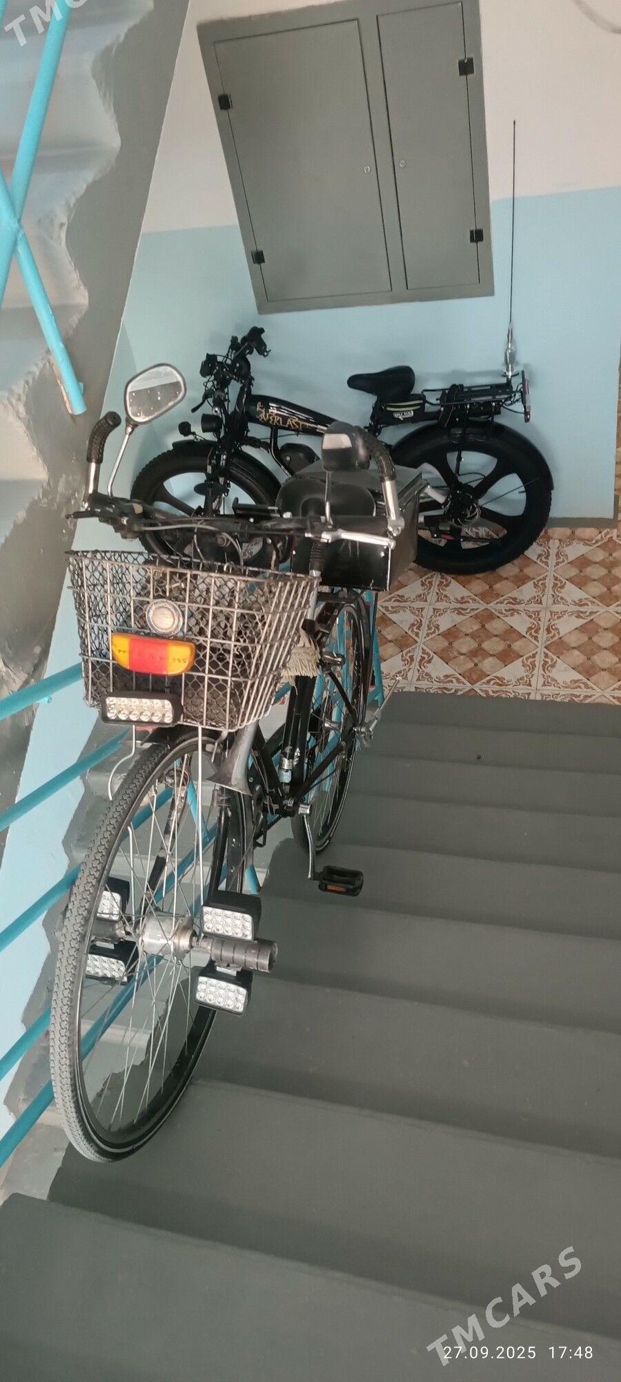 TIGIR  TOKLI  ТИГИР  ТОКЛИ - Мир 7 - img 10