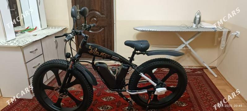 TIGIR  TOKLI  ТИГИР  ТОКЛИ - Мир 7 - img 5