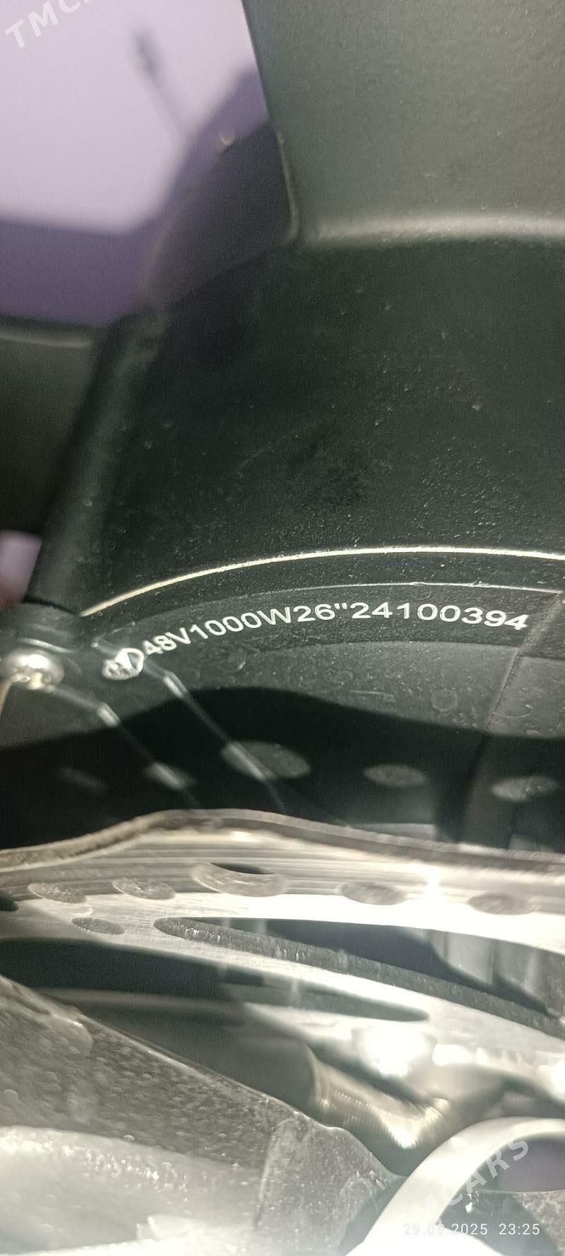 TIGIR  TOKLI  ТИГИР  ТОКЛИ - Мир 7 - img 2