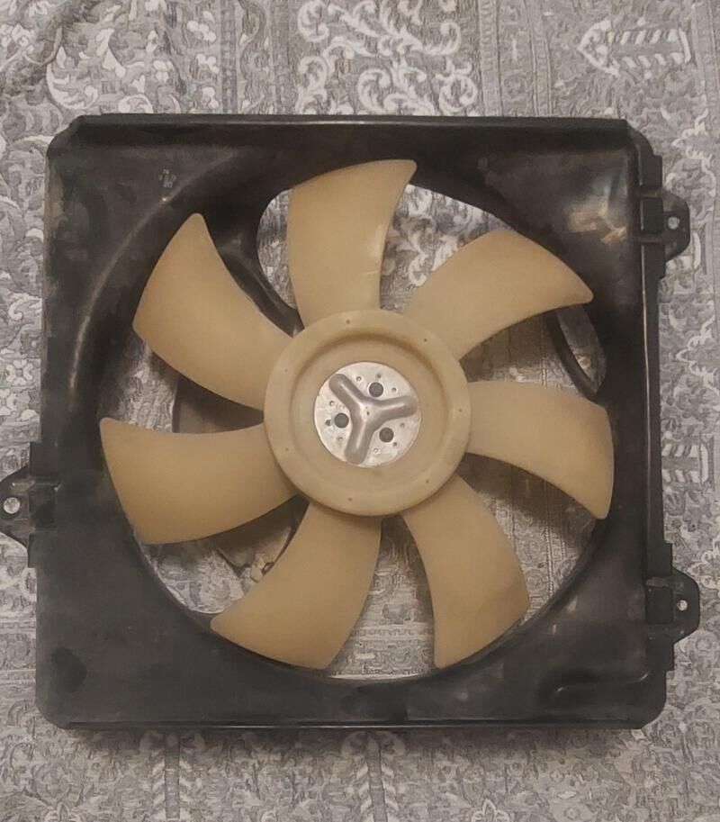 Lopus we korpus 100 TMT - Aşgabat - img 1