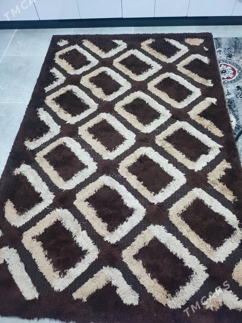 oy gosy - Änew - img 4