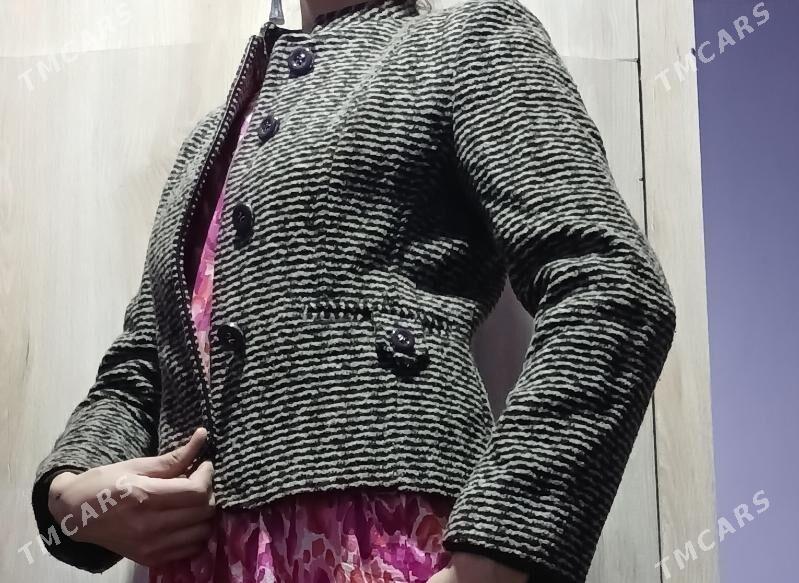 kastum - Köneürgenç - img 2