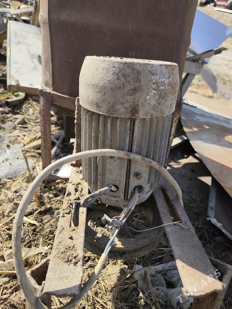 ot uweyan - Mary - img 2