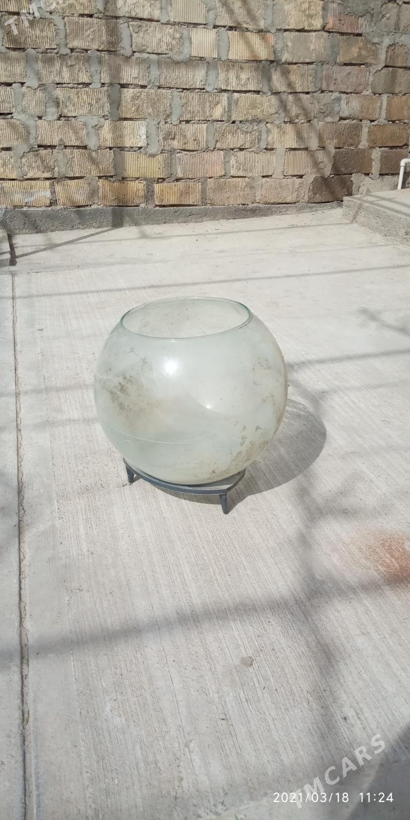 akwarium tegelek - Änew - img 1