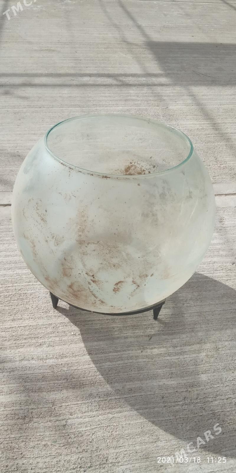 akwarium tegelek - Änew - img 2