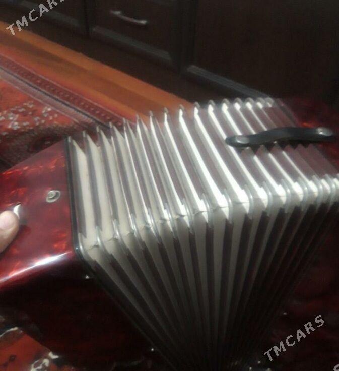 akkordeon Weltmeyster - Балканабат - img 2