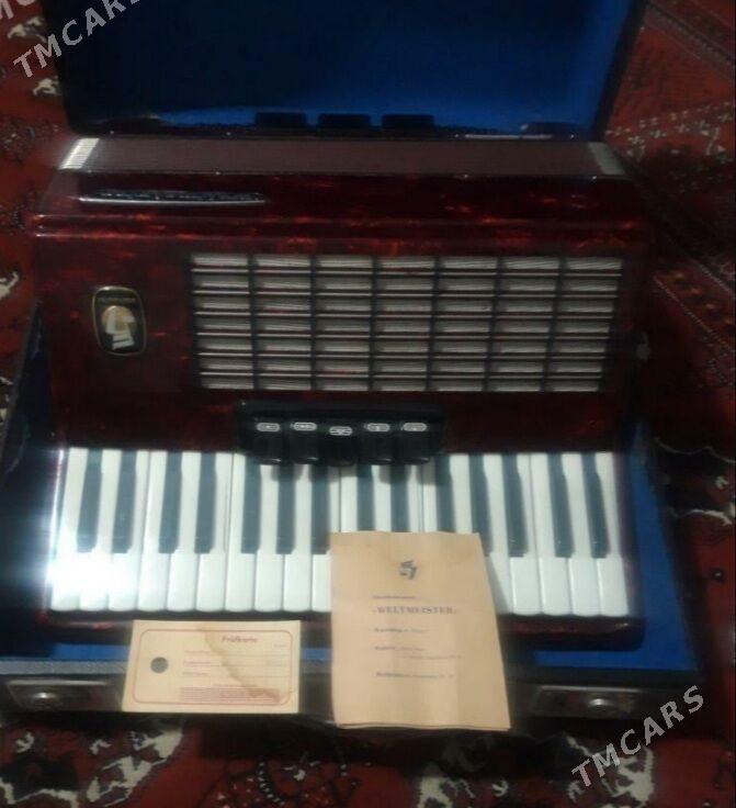 akkordeon Weltmeyster - Балканабат - img 4