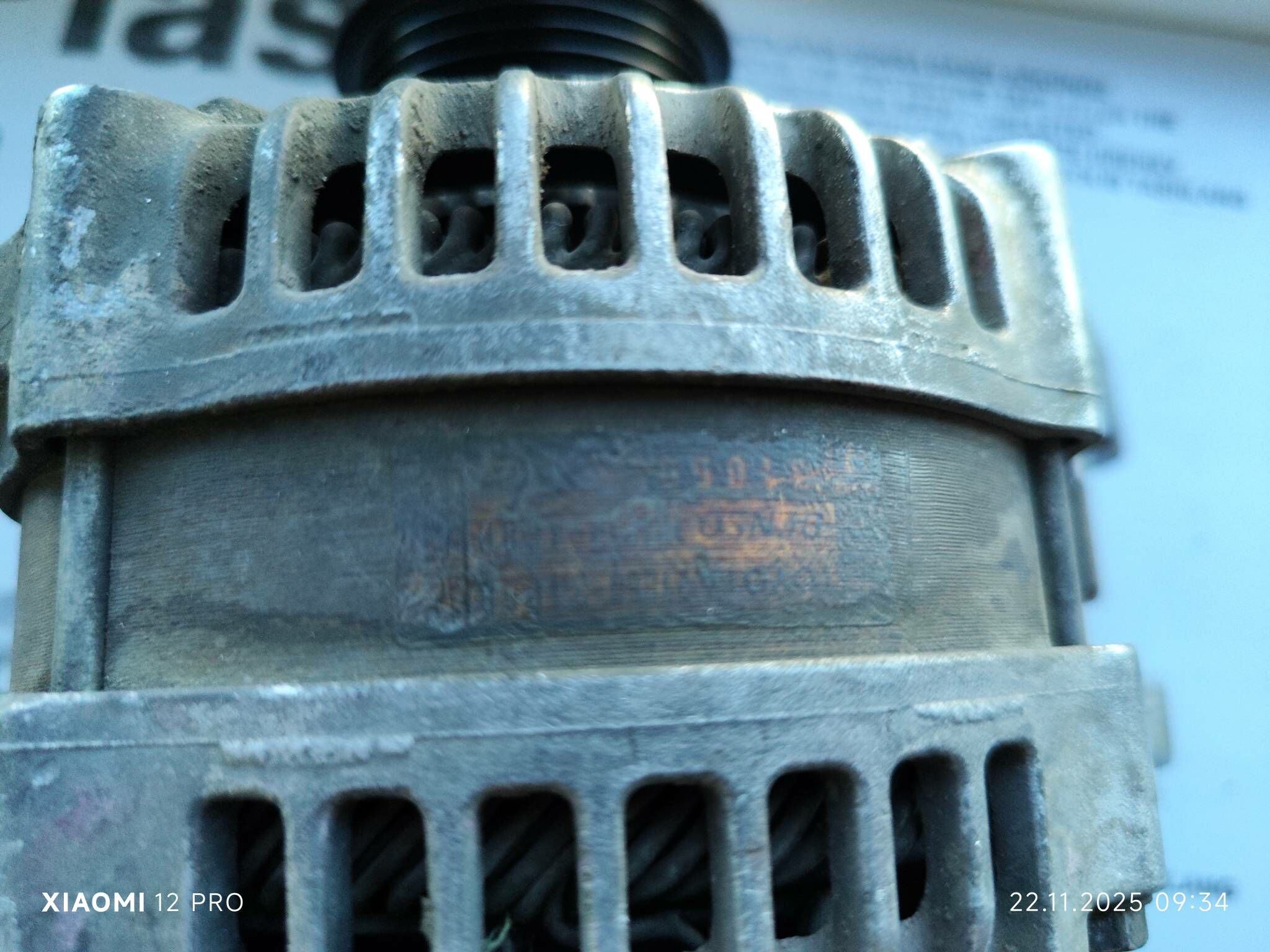 dinamo 1 000 TMT - Mary - img 1