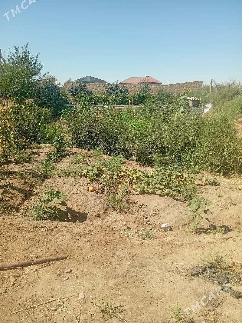 аэропорт дача - Туркменабат - img 2