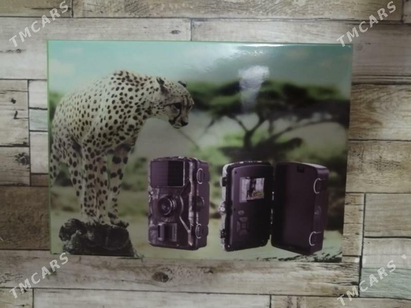 camera foto фотоловушка - Balkanabat - img 8