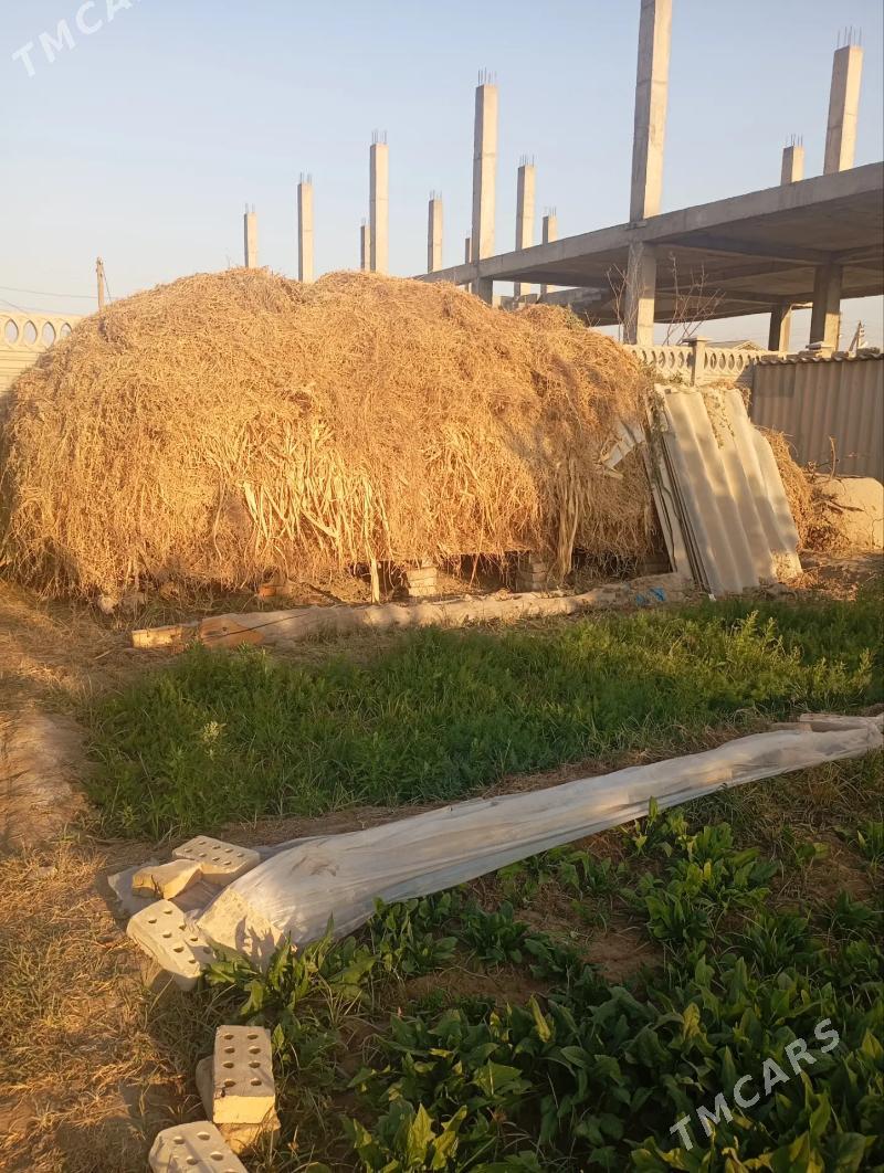 yorunja - Мары - img 2