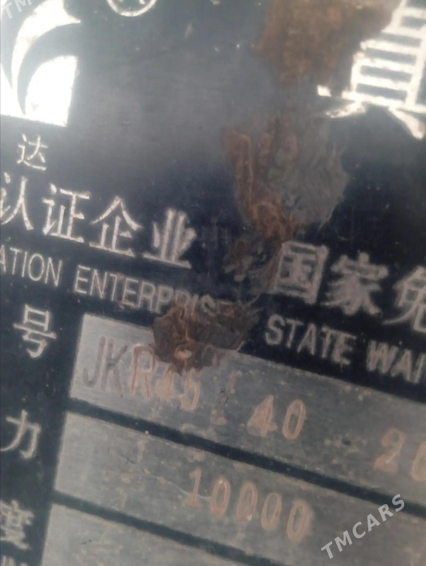 kerpic zawud - Gurbansoltan Eje - img 3