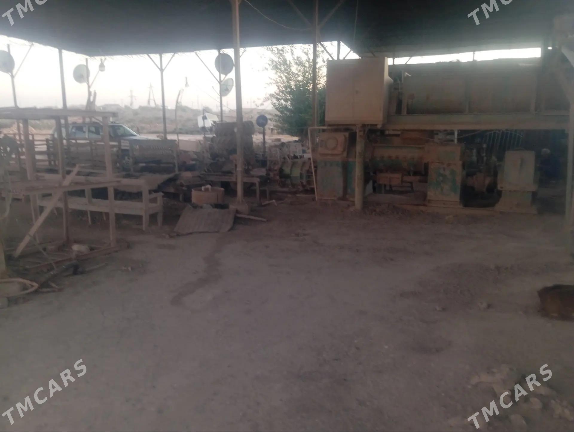 kerpic zawud - Gurbansoltan Eje - img 4