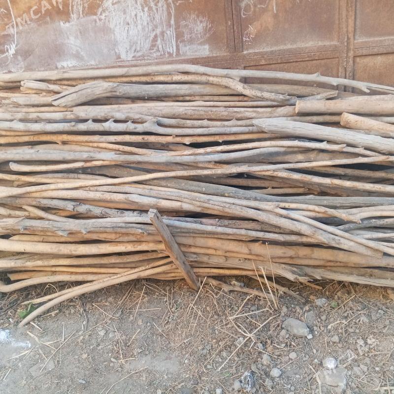 Gurlusyk - Daşoguz - img 2