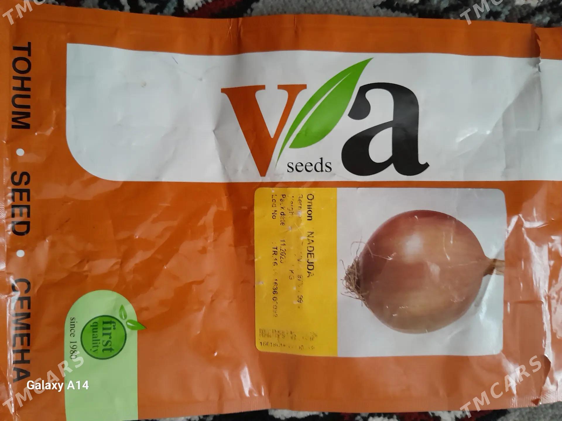 Sogan tohum - Теджен - img 3