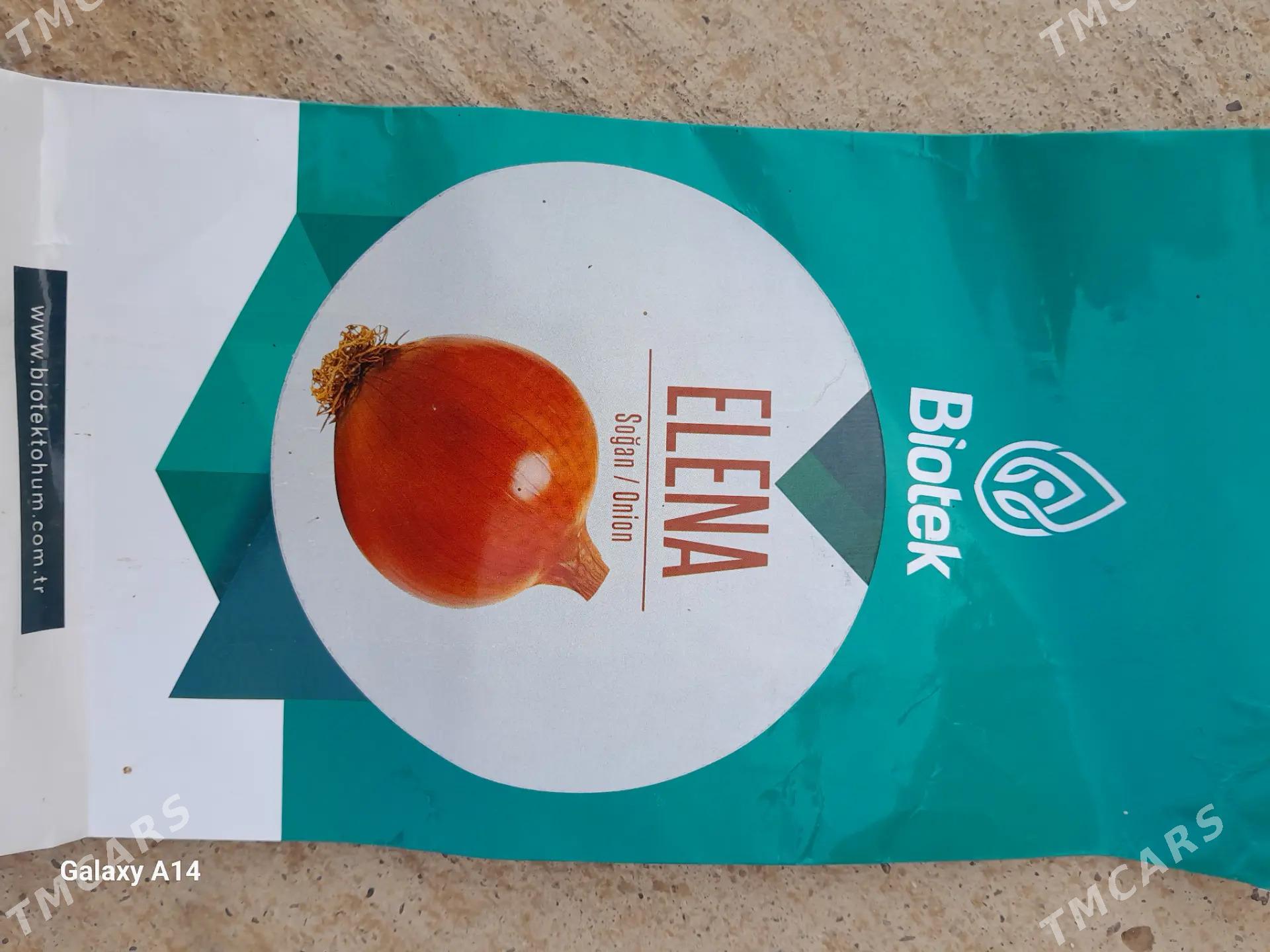 Sogan tohum - Теджен - img 2