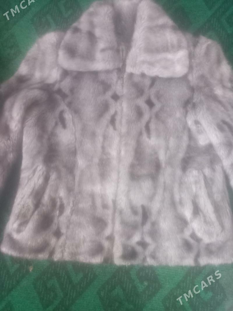 palto - Дянев - img 2