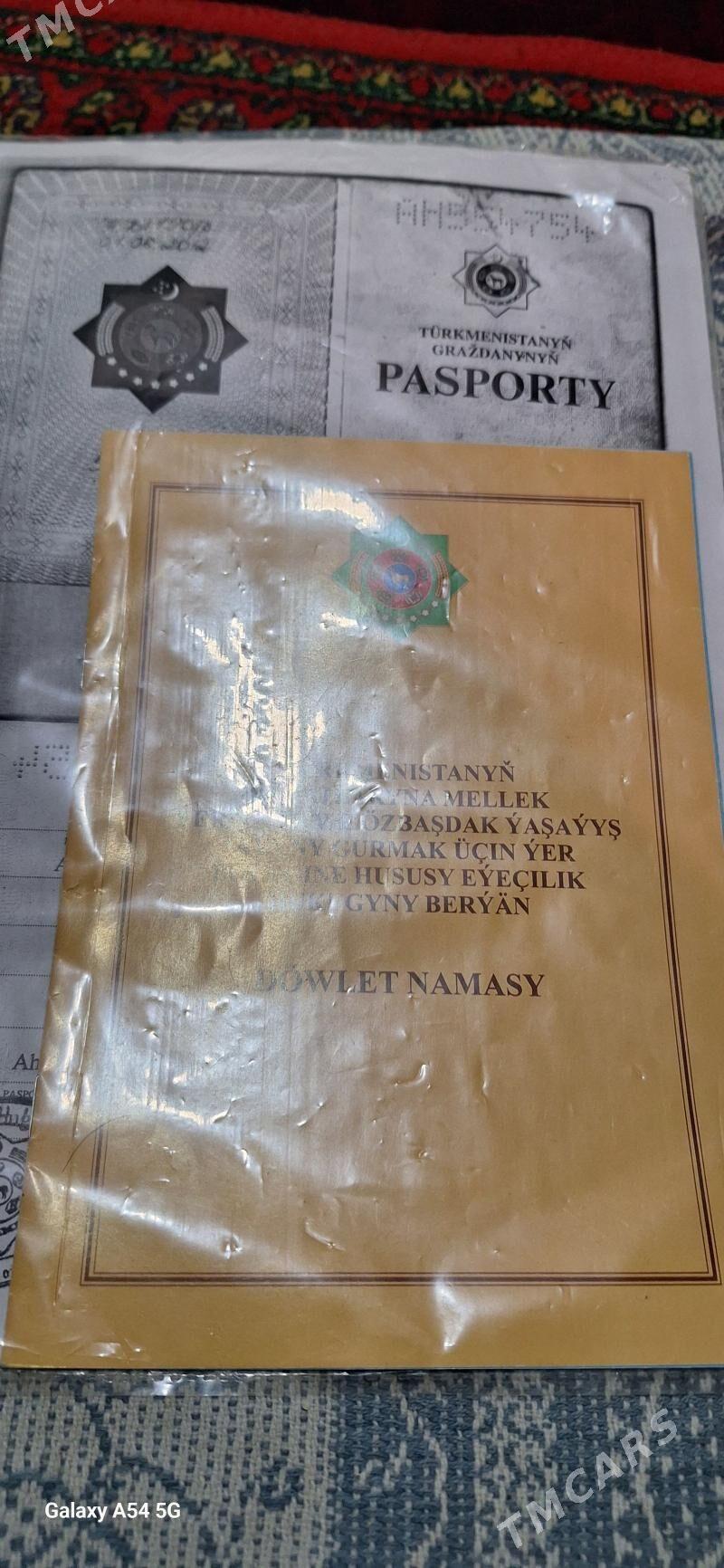 Öňaldy boş mellek - Ak bugdaý etraby - img 3