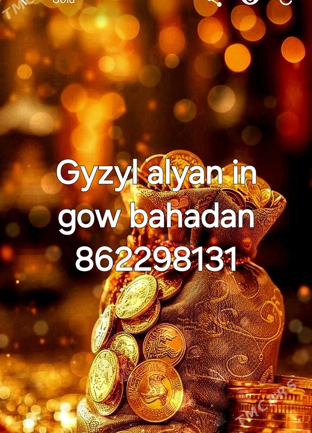 Gyzyl alyan - Aşgabat - img 2