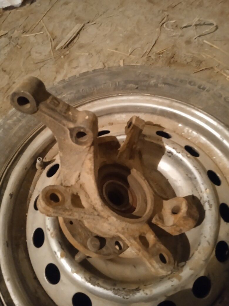 stupitsa 180 TMT - Шабатский этрап - img 2