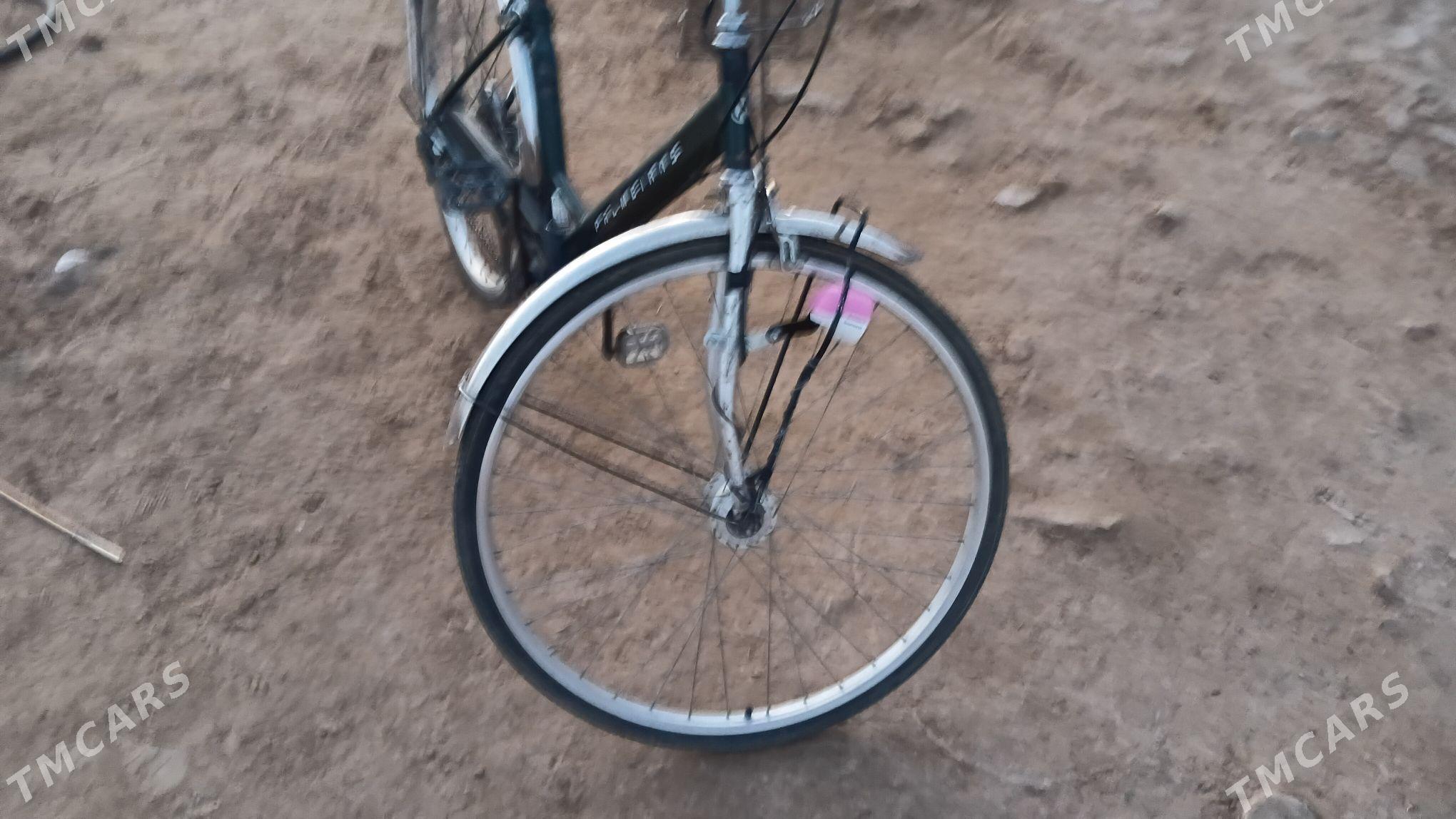 Welsepet - Мары - img 4