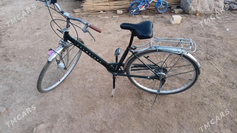 Welsepet - Мары - img 2