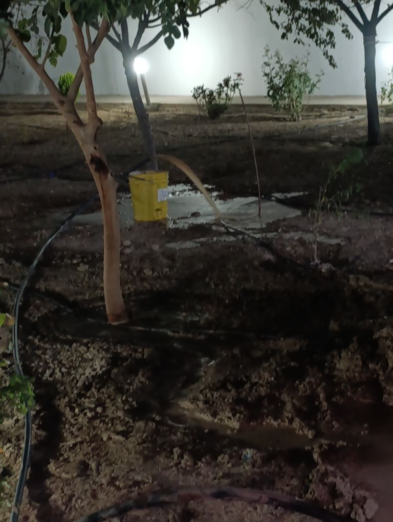 Guýy Gazyas - Гызыларбат - img 8