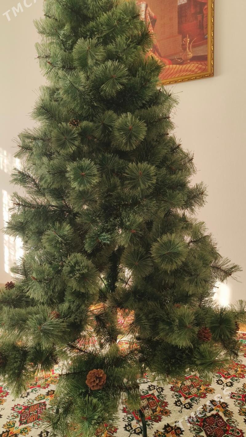 ёлка - Parahat 7 - img 1