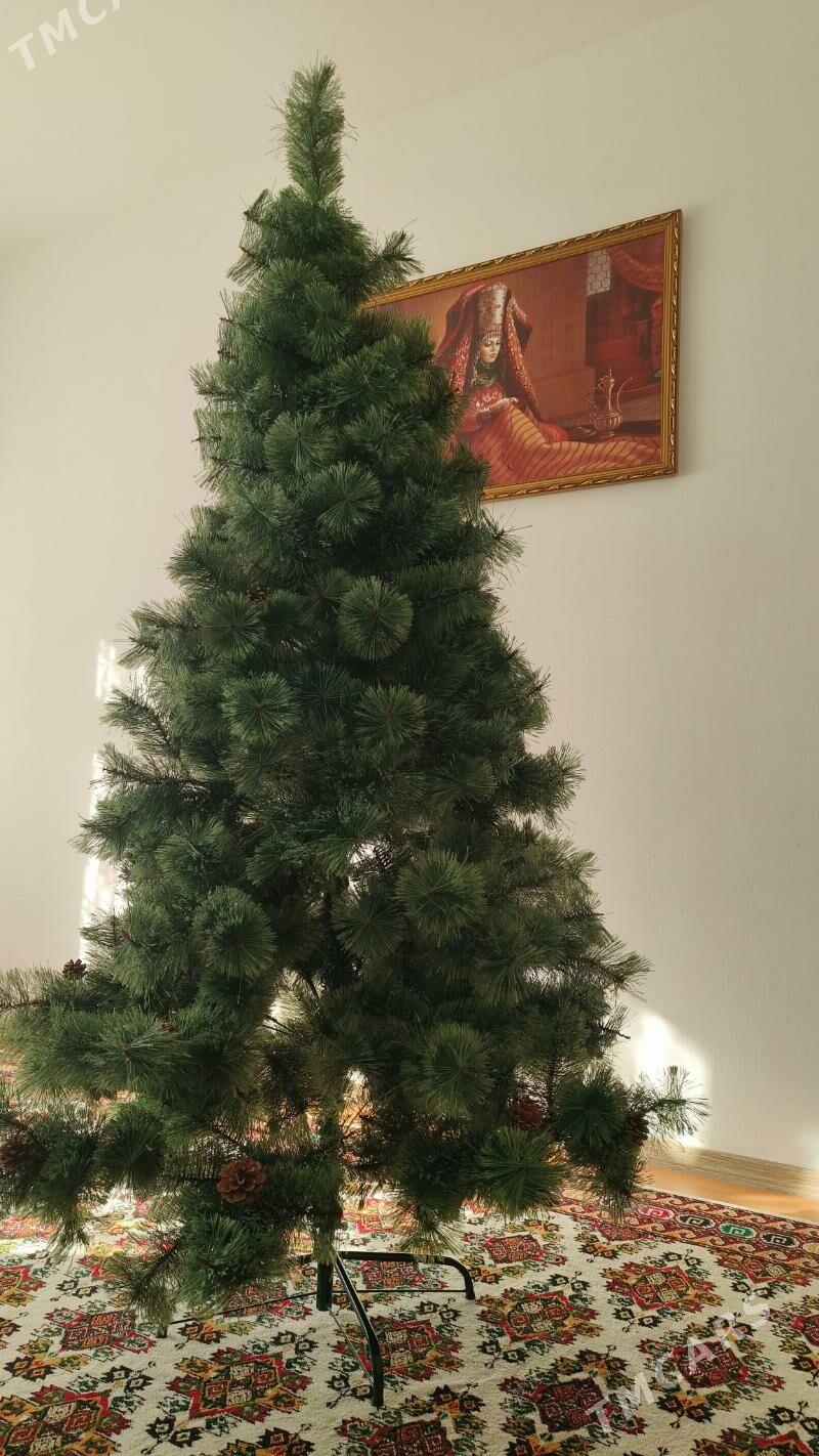 ёлка - Parahat 7 - img 3