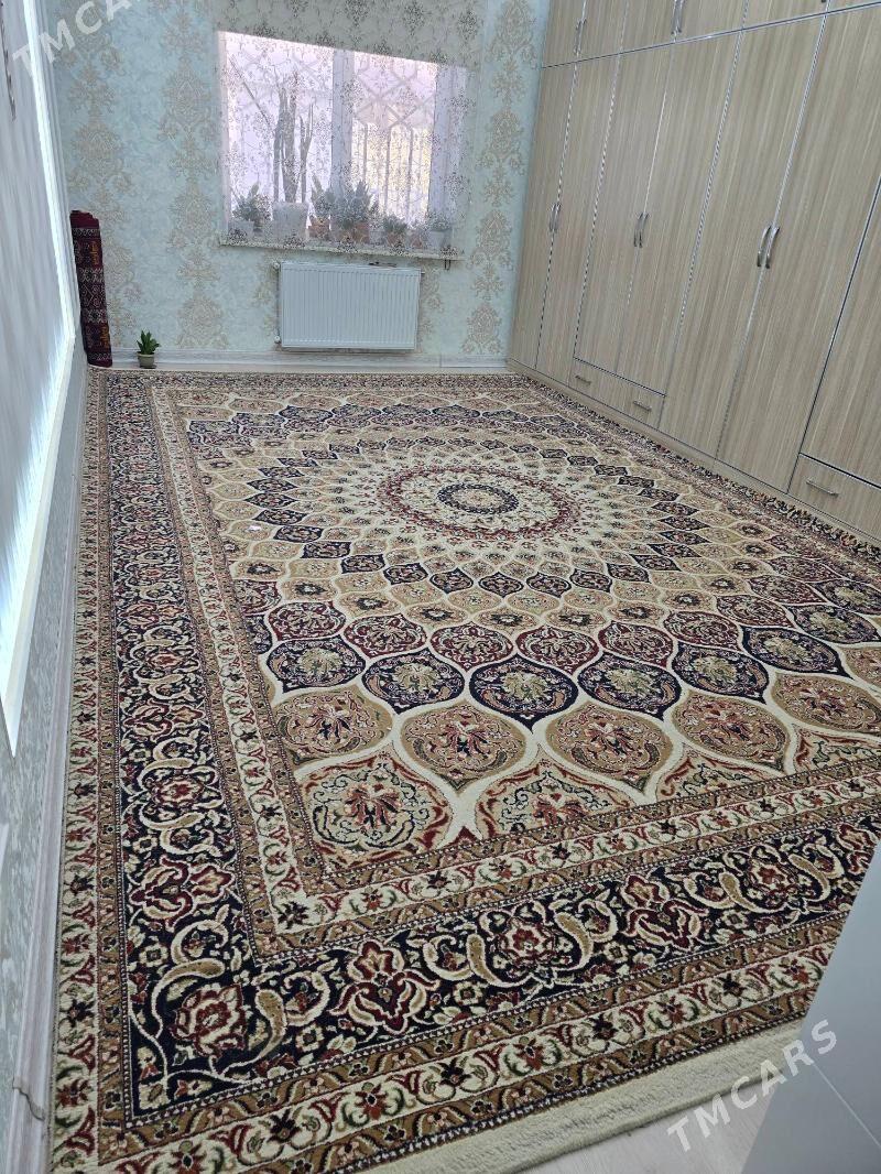 Daroşka Turk 5.3 m - Ашхабад - img 5