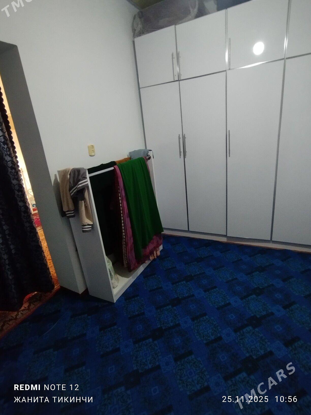 satlyk jay - Garagum etraby - img 9