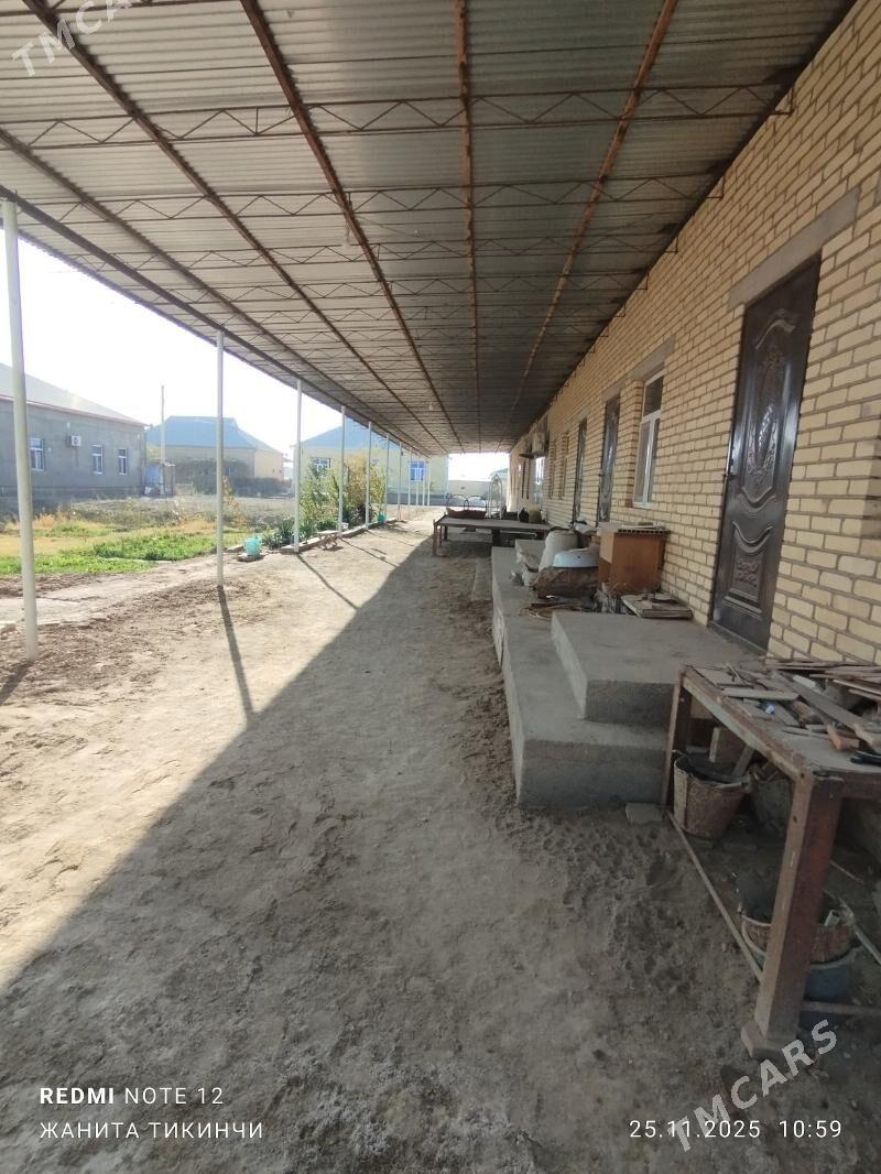 satlyk jay - Garagum etraby - img 3